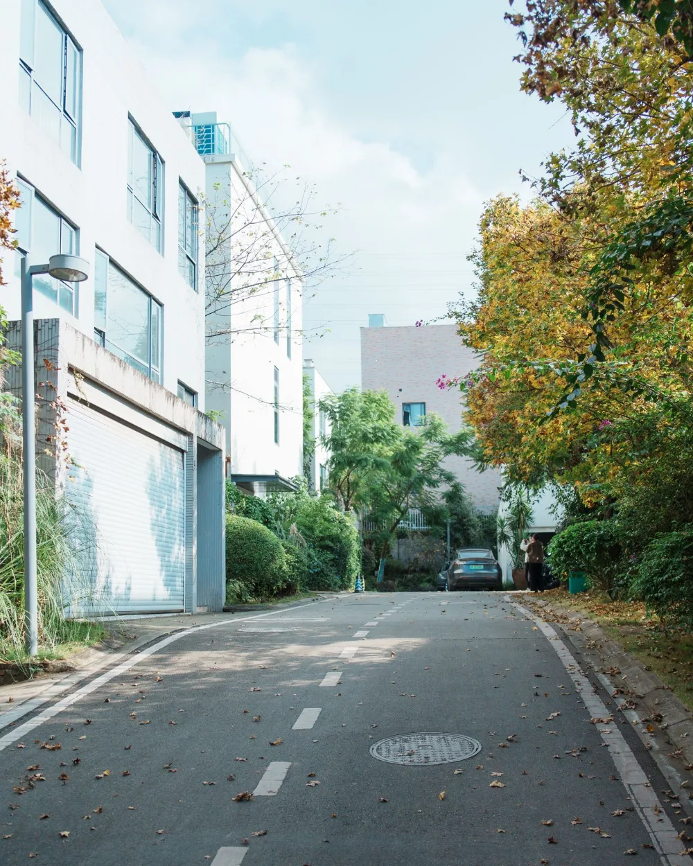 成都秋日街道，行人与银杏树