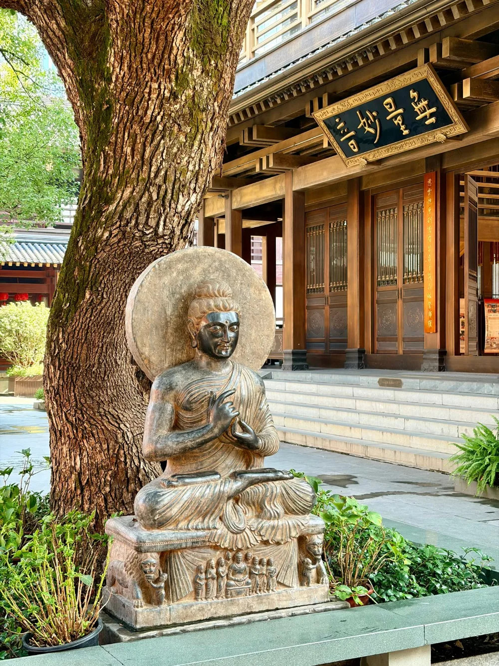 灵隐寺庭前的石佛与古树
