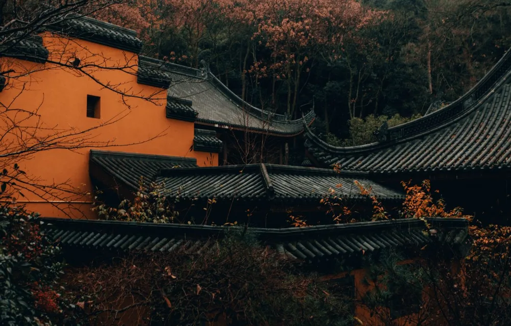 灵隐寺的黑瓦黄墙与秋叶