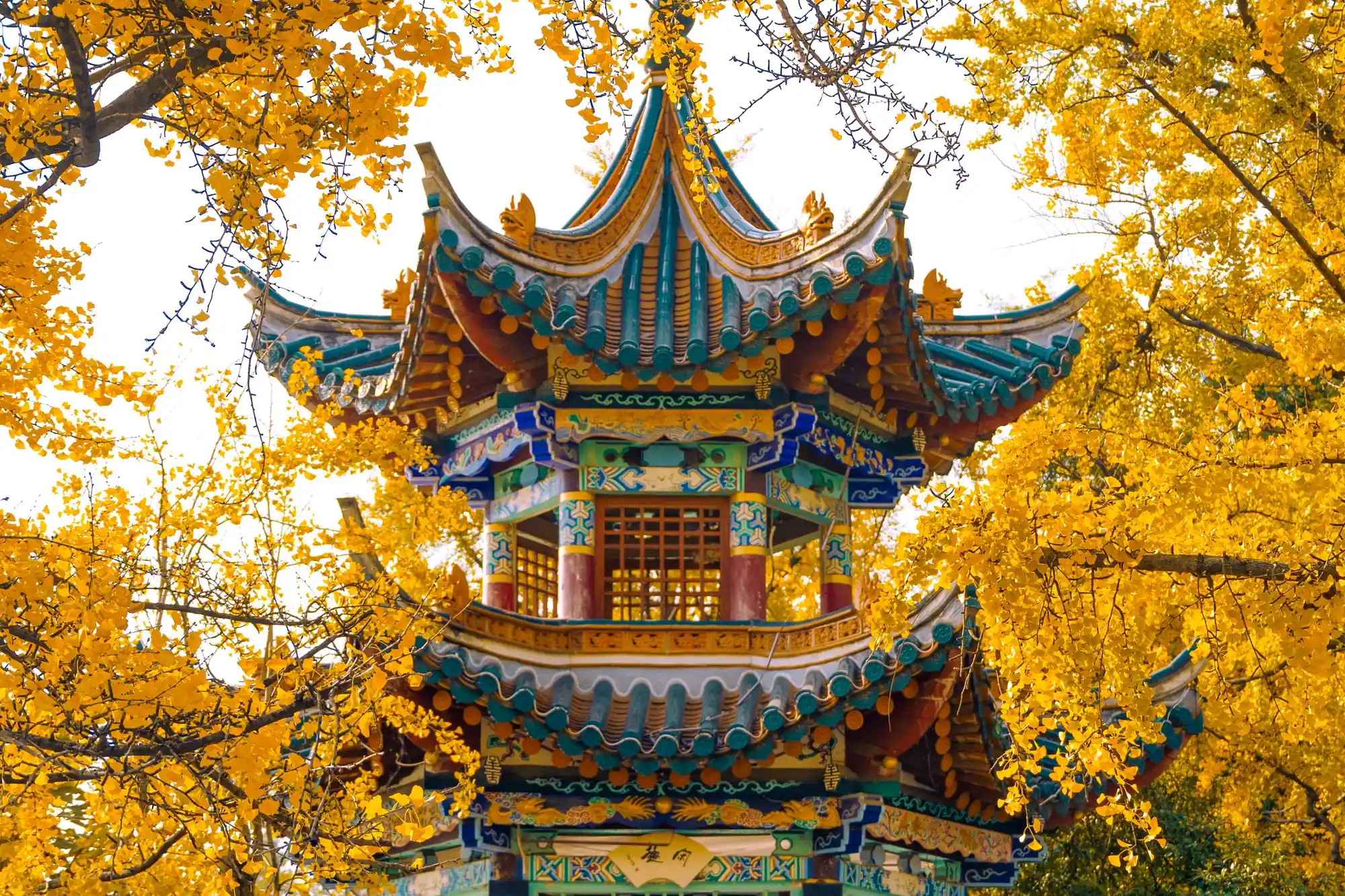 昆明翠湖